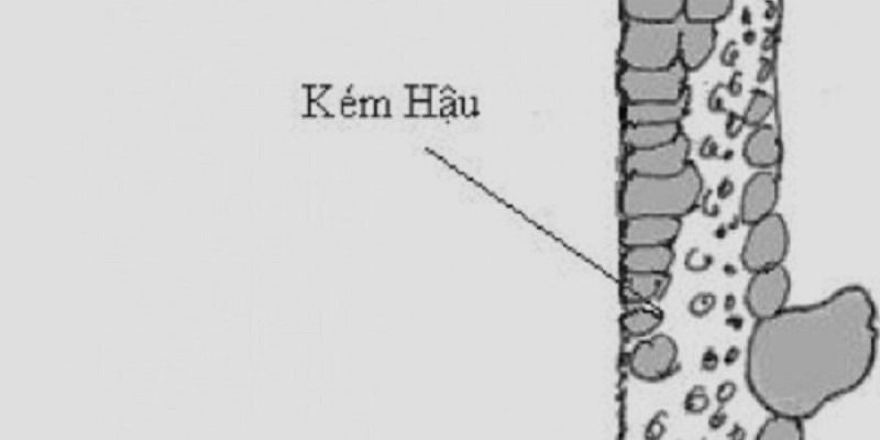 23 Vảy Gà Xấu Sư Kê Nên Tránh Khi Chọn Gà Đá 9 Vảy đoản hậu